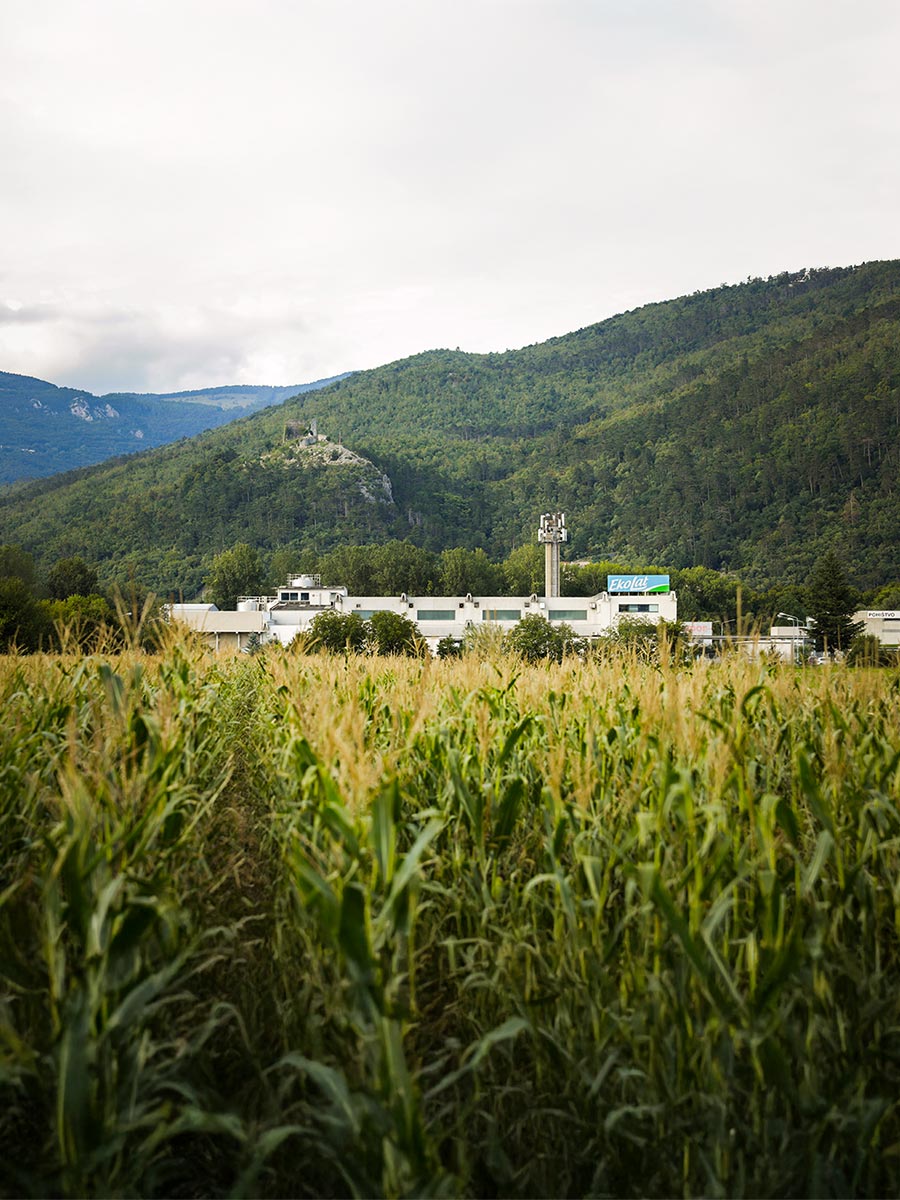 ekolat gruppo sabelli